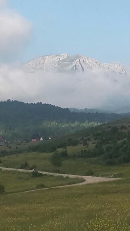 Лоджи Mountain View Lodges Жабляк-64